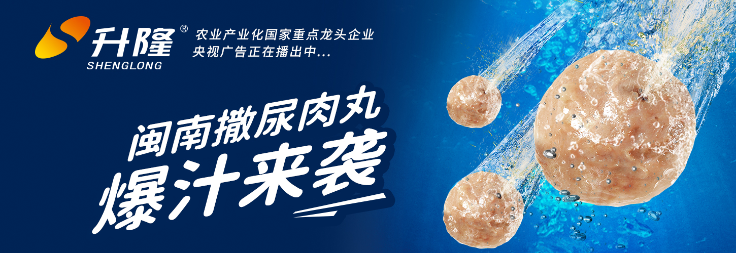 閩南撒尿肉丸